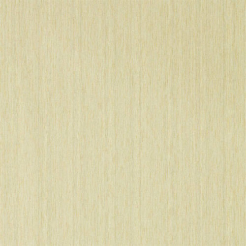 Caspian Strie 216773